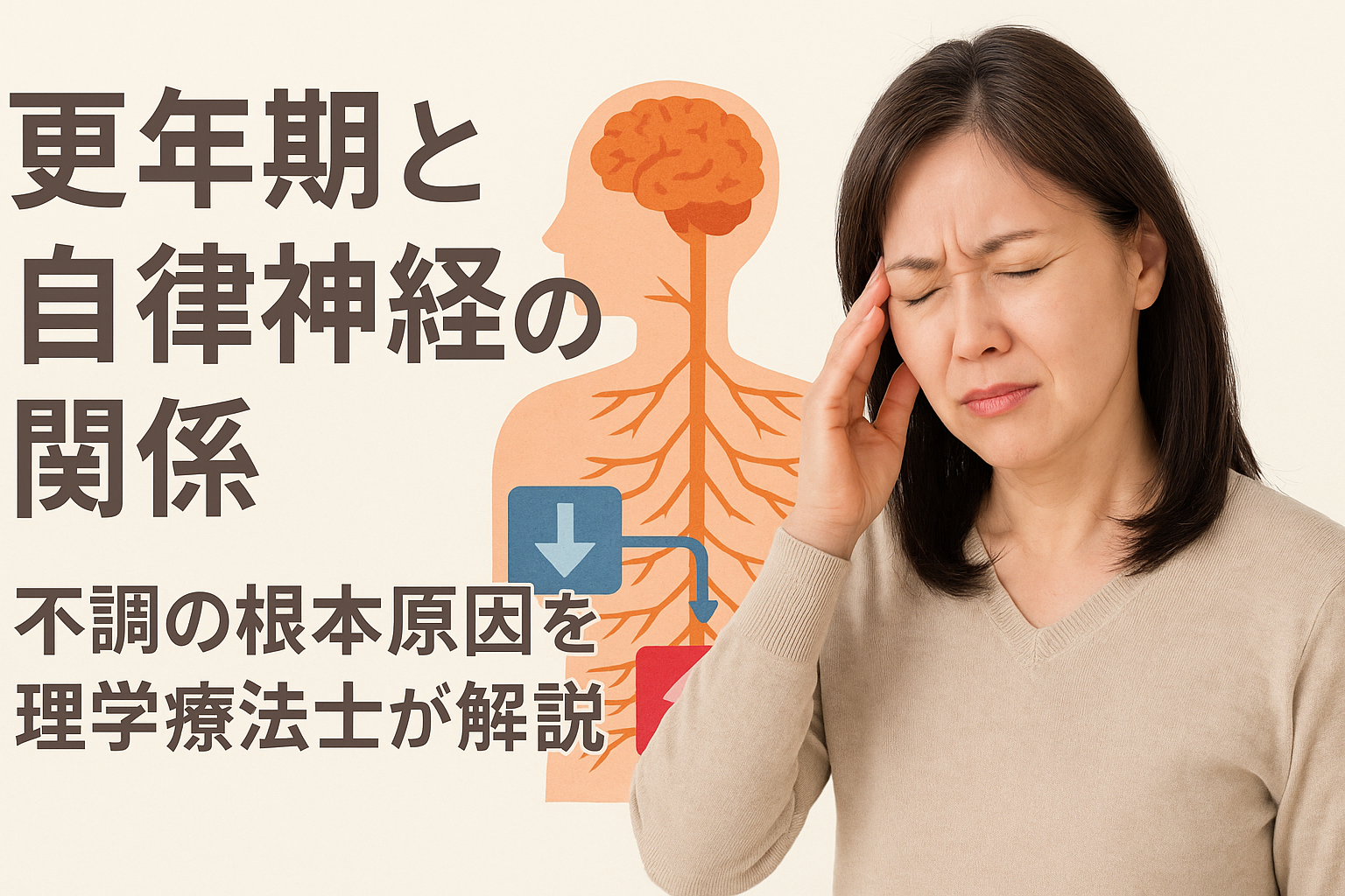 更年期と自律神経の関係を示す図と悩む中年女性の画像。自律神経の働きと不調の関係を視覚的に説明。