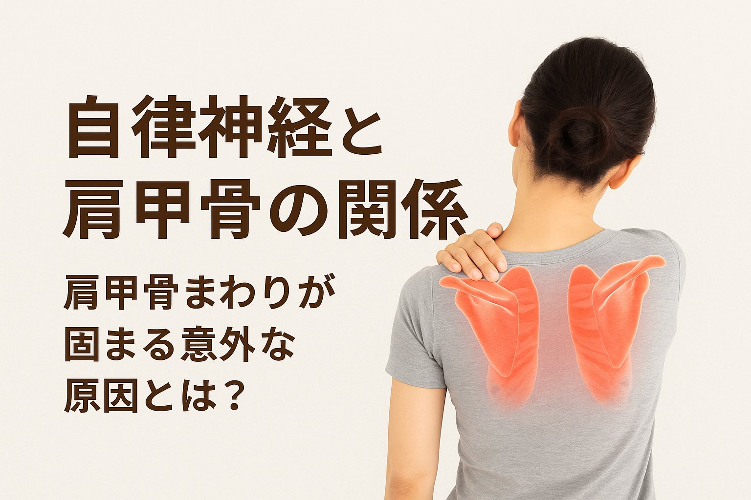 自律神経と肩甲骨の関係を示す女性の背面画像。肩甲骨まわりが固まる意外な原因をわかりやすく解説する視覚的説明。自律神経の不調に悩む方向け。